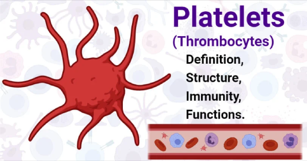 A medical illustration explaining "Platelets (Thrombocytes)" with a large, spiky red platelet, a list of topics (Definition, Structure, Immunity, Functions),