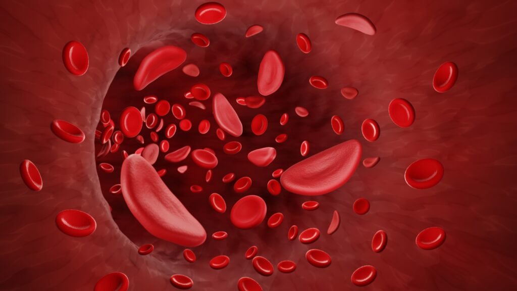 A 3D medical illustration showing both normal and abnormally shaped sickle red blood cells flowing within a blood vessel.